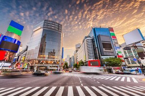 Miscellaneous - Olympic Inn Shibuya (Tokyo)