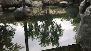 Ein friedlicher Garten mit Teich, großen Felsen und Bäumen.
