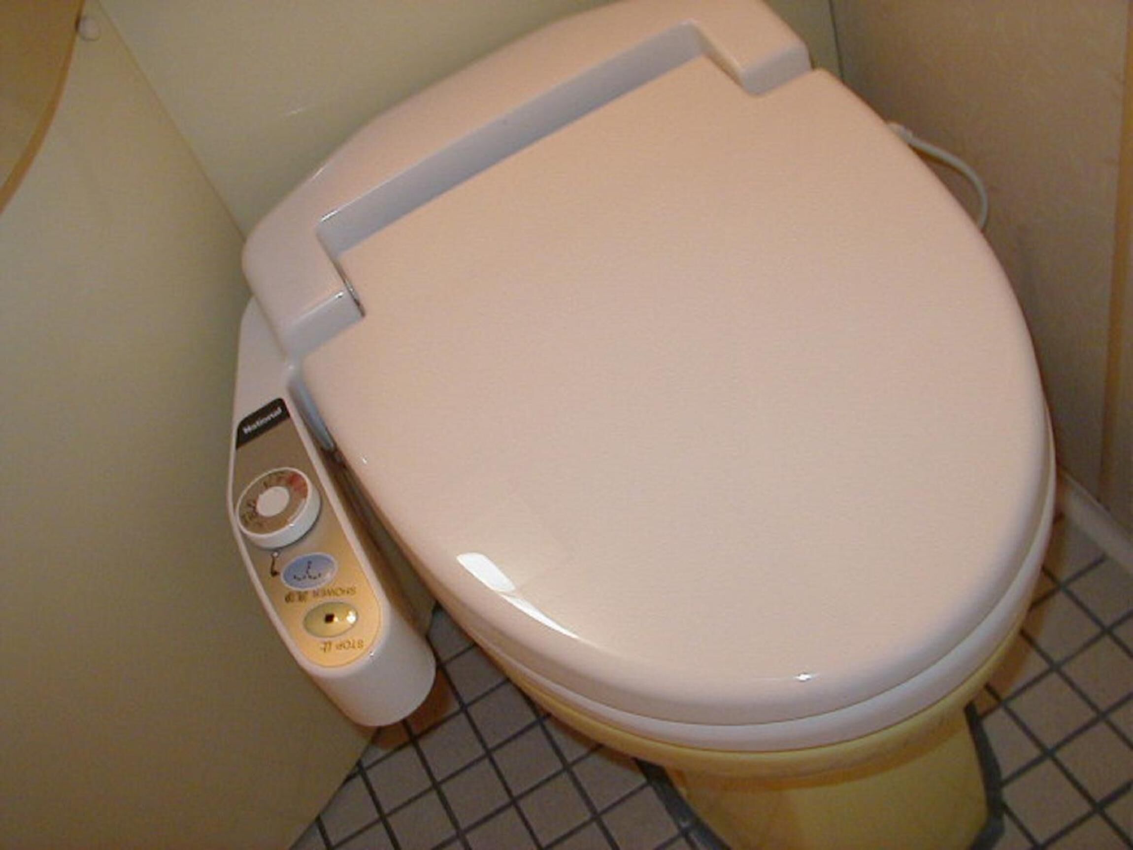 Eine Toilette mit Bedienfeld, das eine Spültaste, eine Bidetfunktion und einen Bidetstrahl beinhaltet.