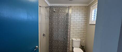 Un baño con ducha, inodoro y una puerta azul.
