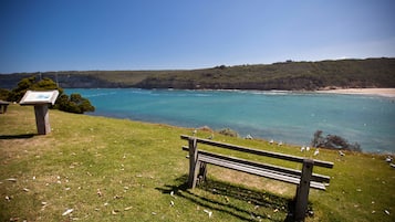 Playa en los alrededores