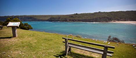 A bench overlooking a coastal area with a clear view of the sea and a grassy area with scattered leaves.