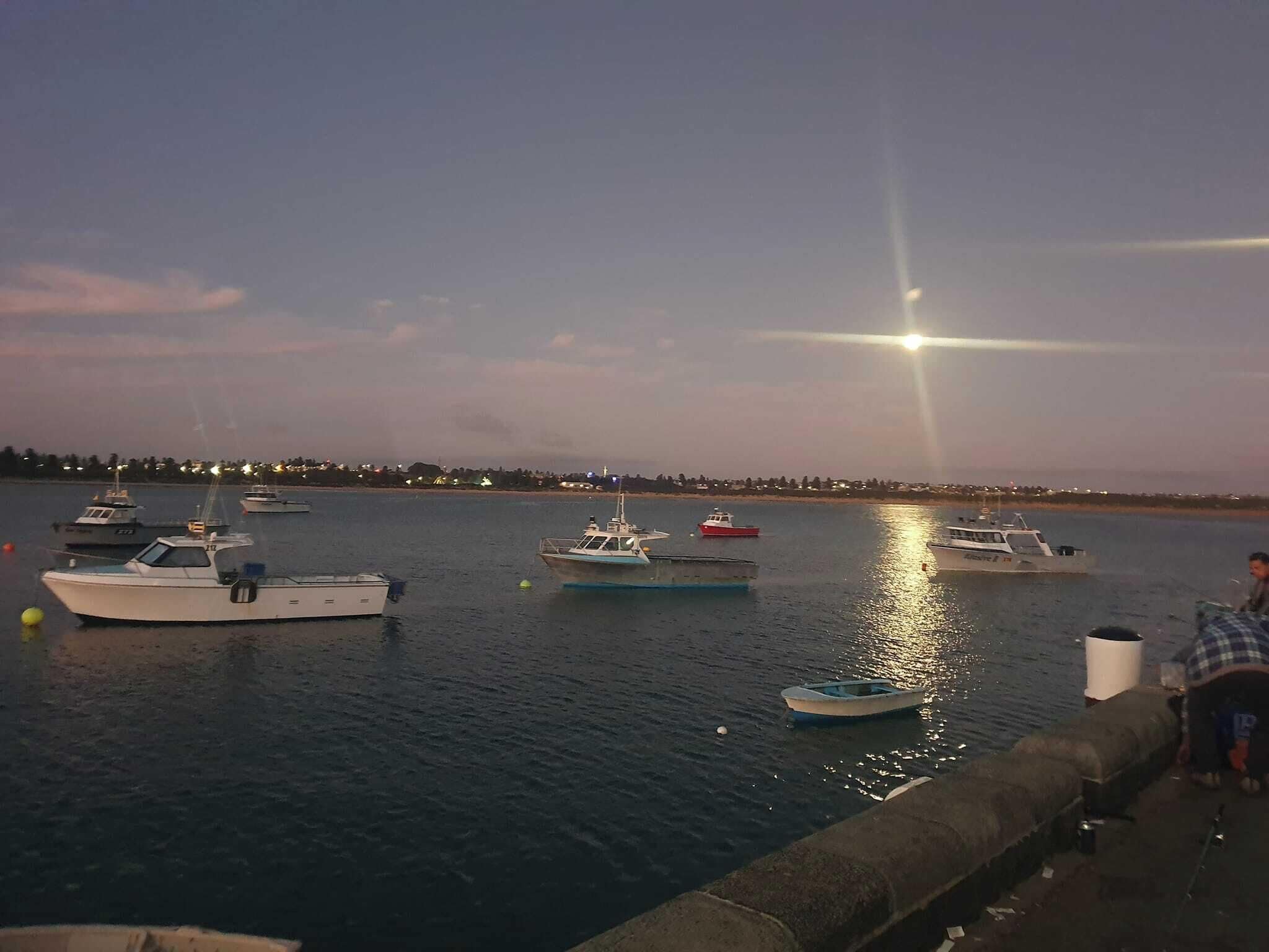 A marina with several boats docked, a clear sky, and a distant shoreline with lights.