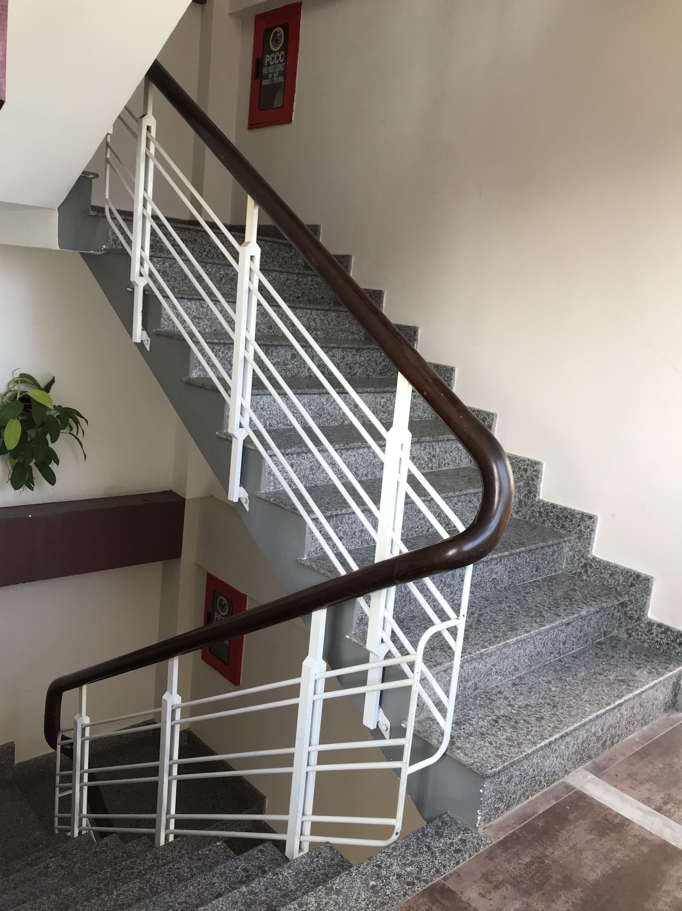 Foto - Sunny A Hotel