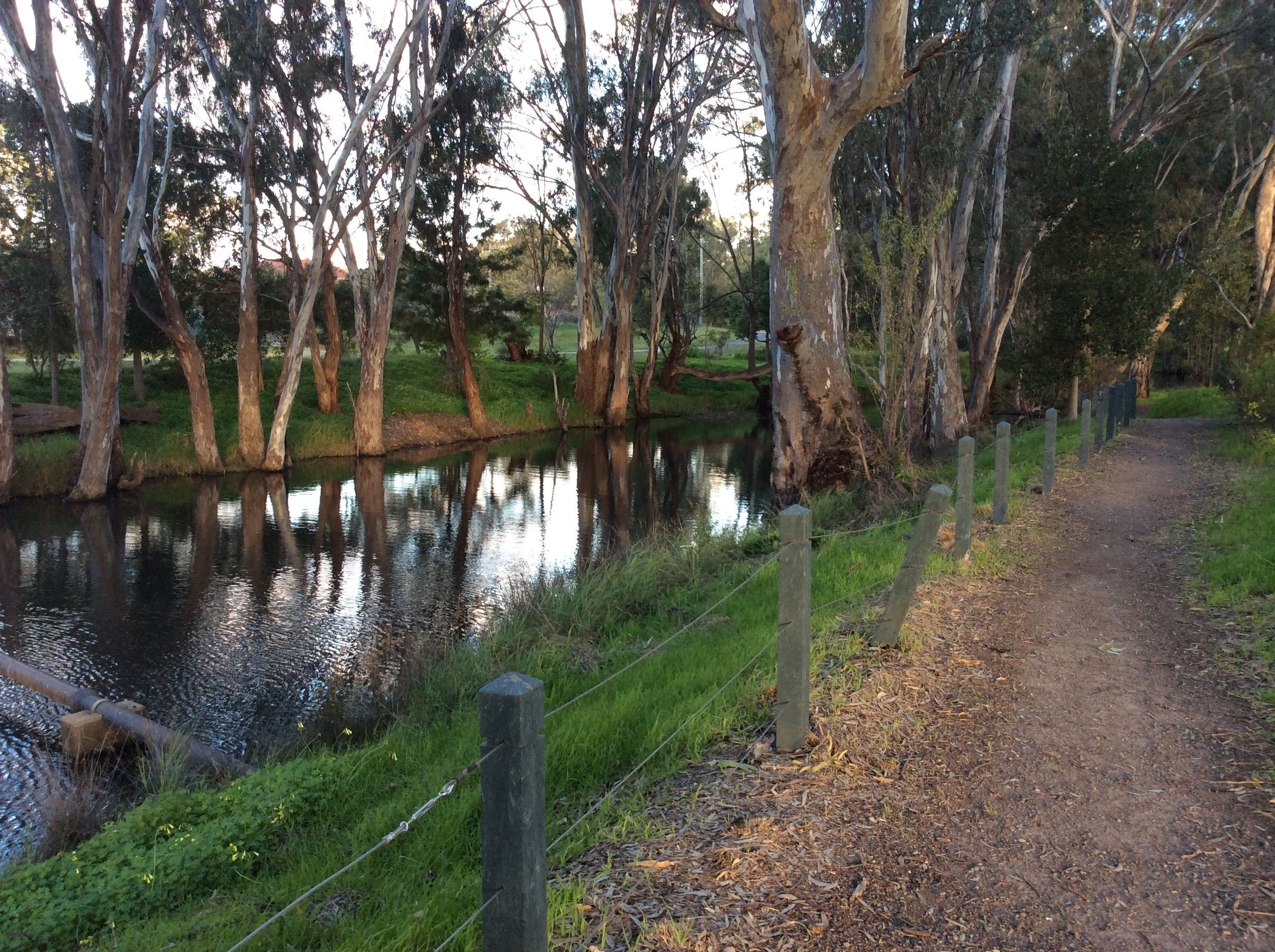 Een rustige pad langs de rivier, met een houten omheining en bomen die zich in het water spiegelen.