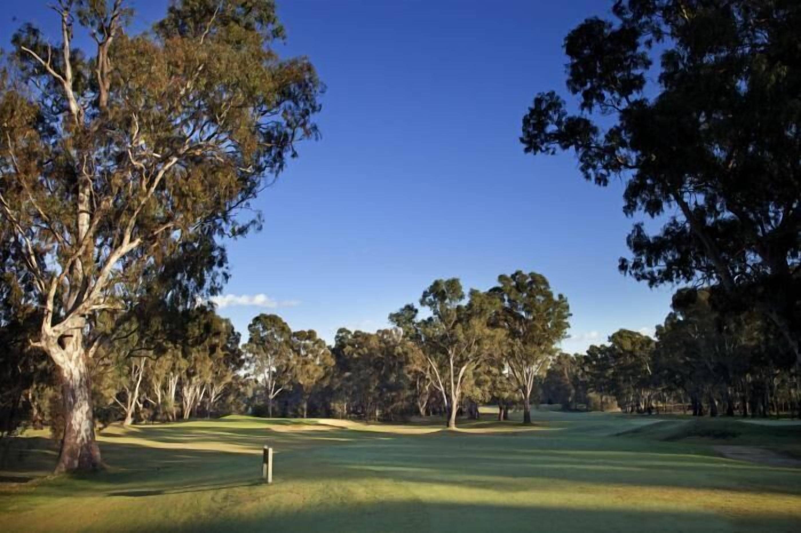 A golf course with a clear sky, trees, and a well-maintained green.