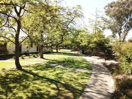 Un camino bordeado de árboles y césped, que conduce a un edificio con fachada blanca y ventanas.