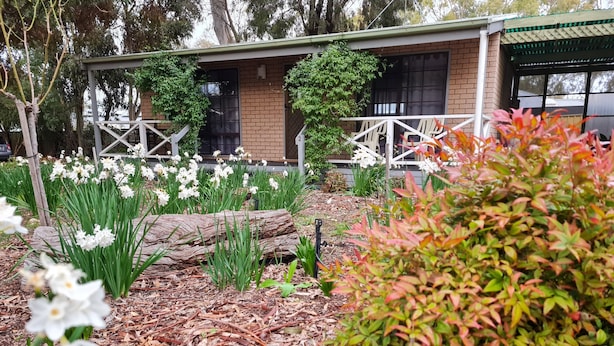 A garden with white flowers and a brick building with a balcony. - Barossa Country Cottages (Lyndoch)