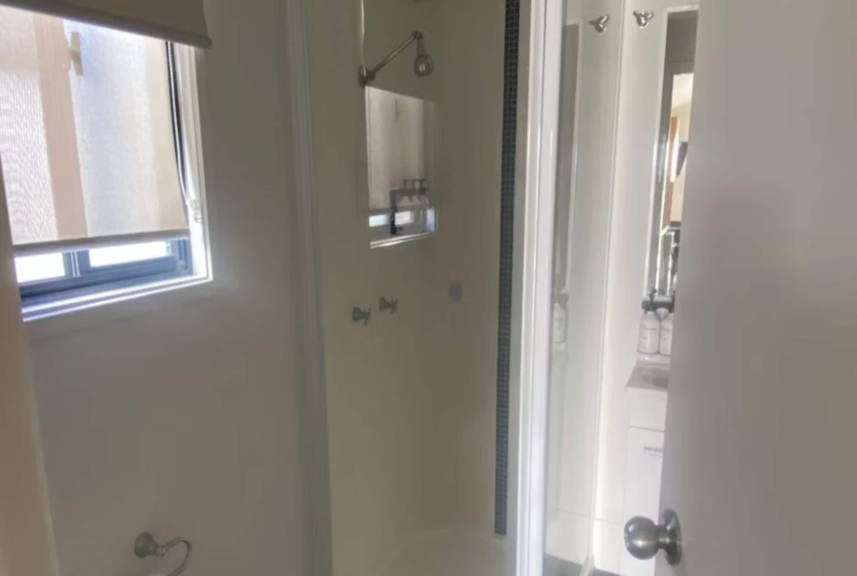 A bathroom with a shower, a mirror, and a window.