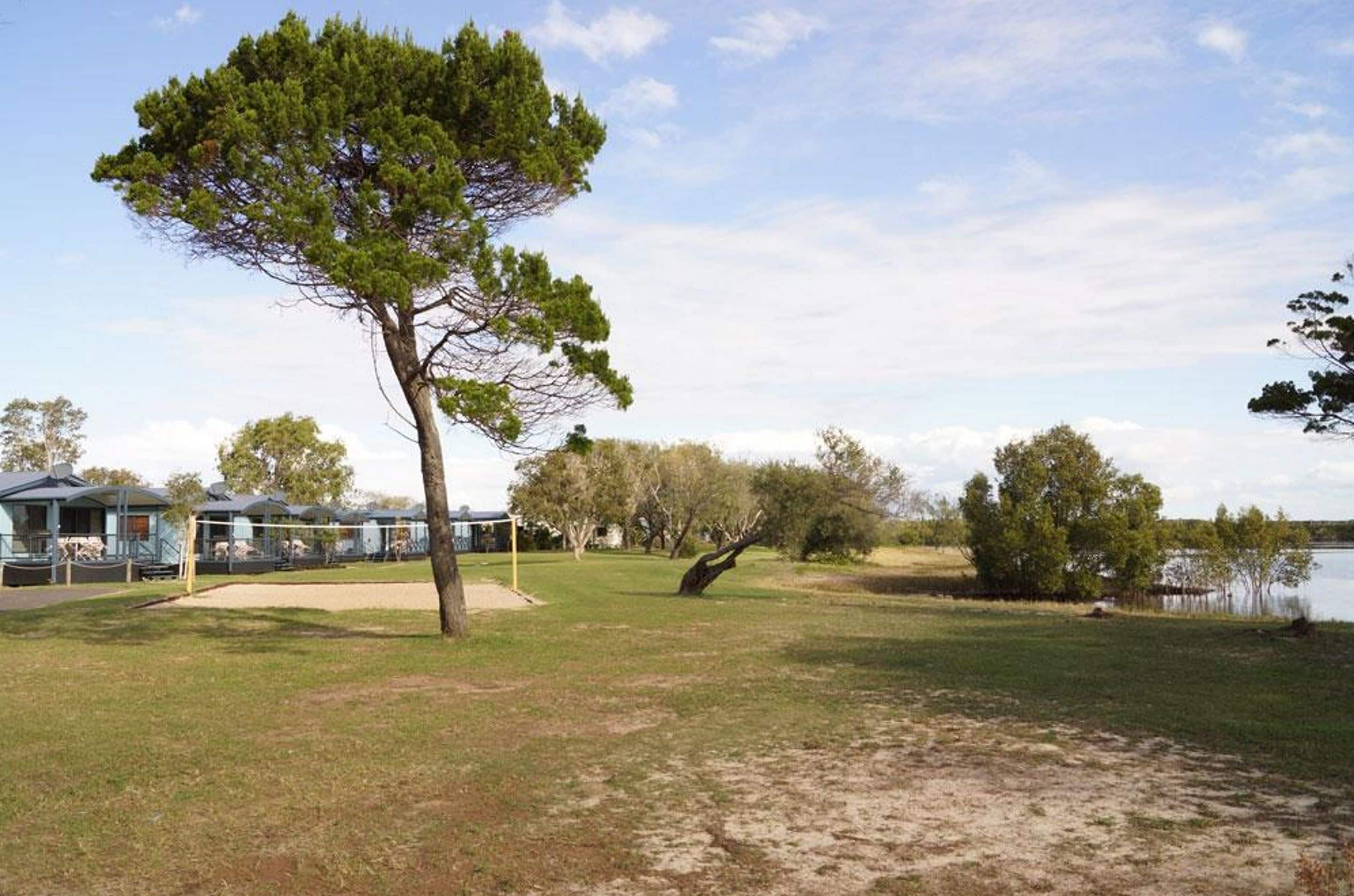 Un área con césped, un gran árbol, un pequeño estanque y un edificio con techo azul al fondo.