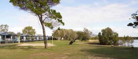 A grassy area with a large tree, a small pond, and a building with a blue roof in the background.