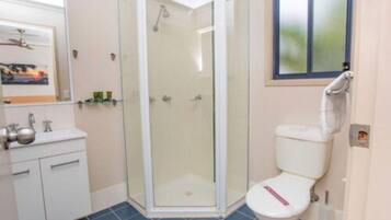 A bathroom with a glass-enclosed shower, a white toilet, and a sink with a mirror above it.
