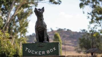 Une statue de chien est placée sur une plaque verte portant l’inscription « Tucker Box », dans un parc avec des arbres et des collines en arrière-plan.