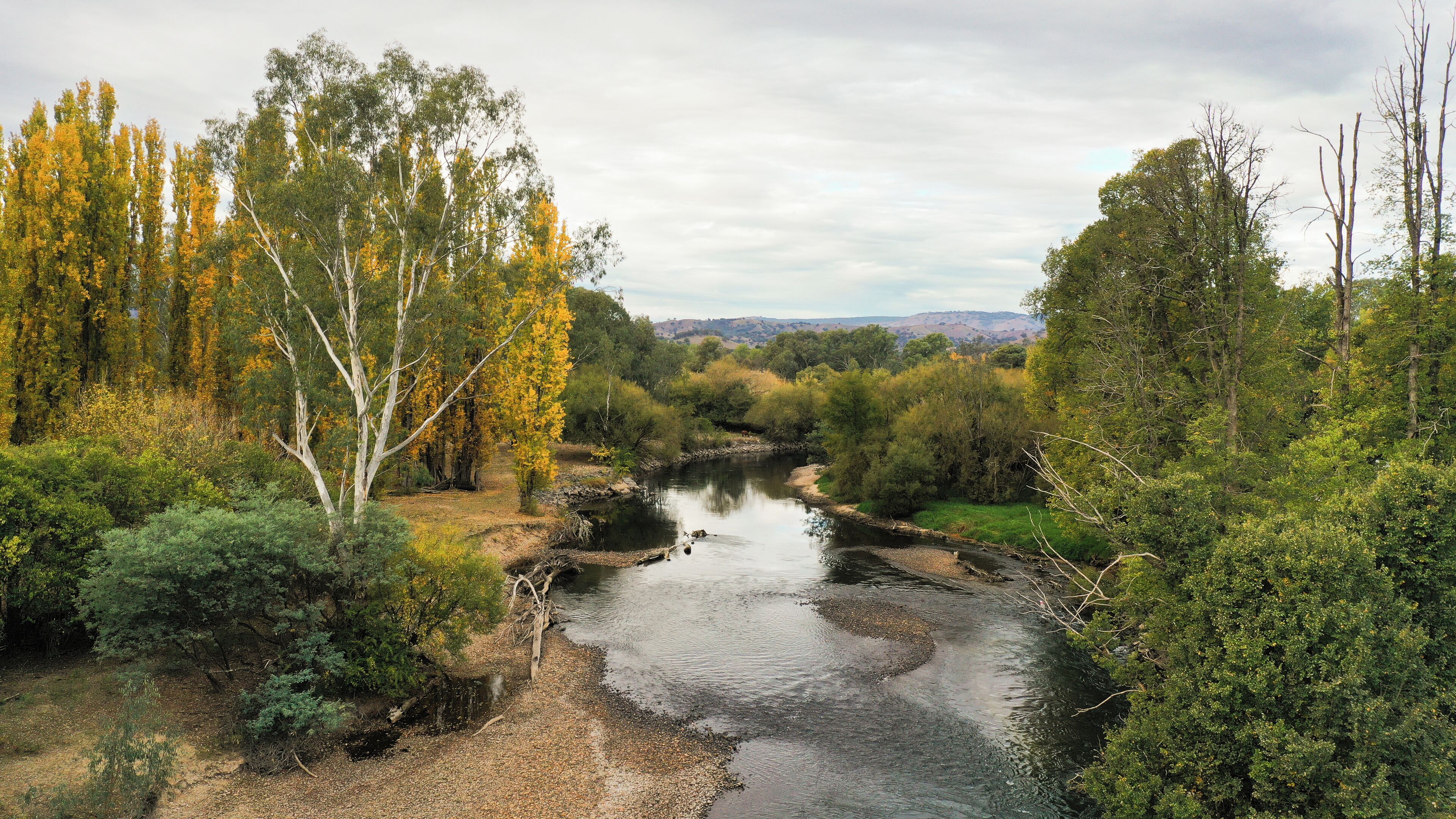 Un río serpentea por una zona boscosa, bordeado de árboles a ambos lados.