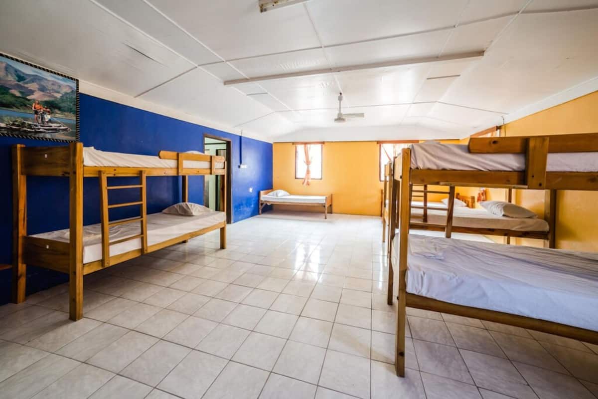 A dormitory room with bunk beds, a painting on the wall, and a window with curtains.