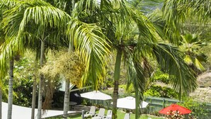 A poolside area with lounge chairs and umbrellas, surrounded by palm trees and greenery. - Magnetic Sunsets Resort (Horseshoe Bay)