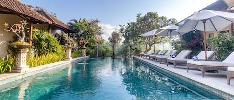 Outdoor pool, open 8:00 AM to 7:00 PM, pool umbrellas, sun loungers