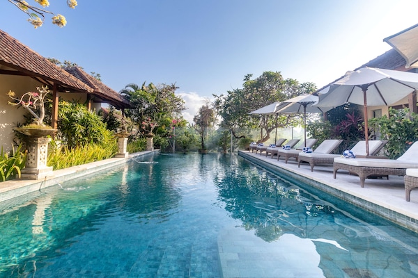 Una piscina al aire libre, sombrillas, sillones reclinables de piscina