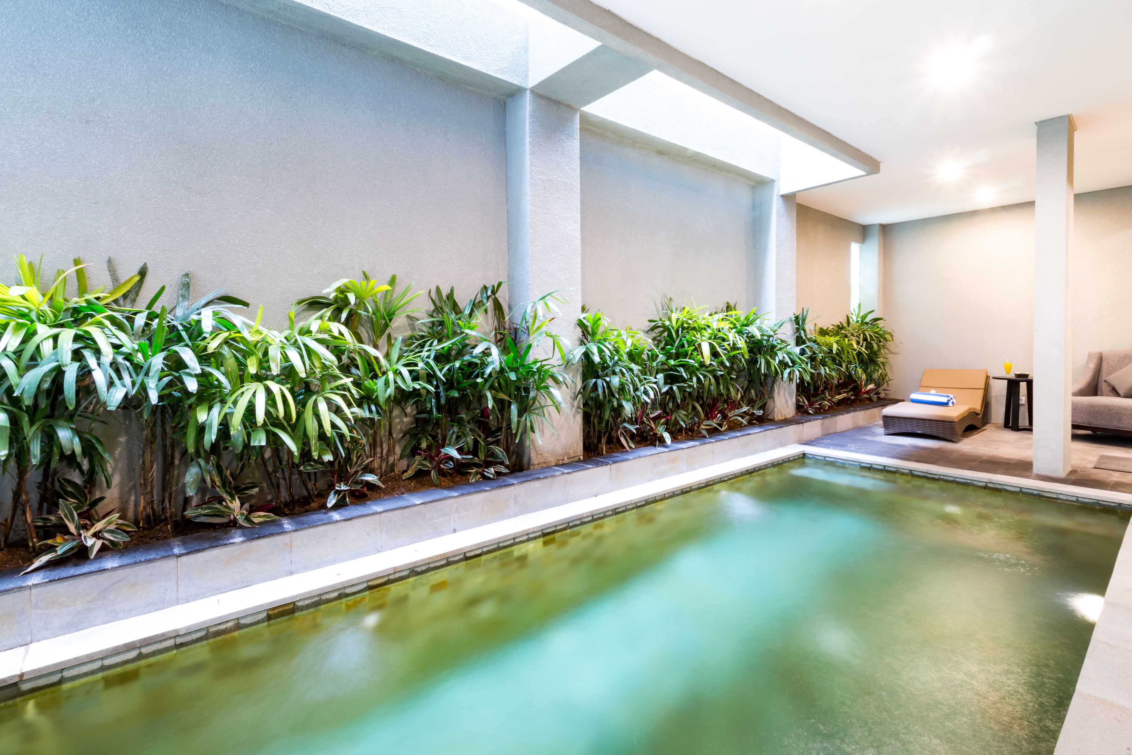 Una piscina con borde de azulejos, rodeada de diferentes plantas verdes.
