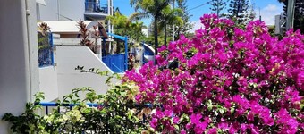Surfers Beach Resort One