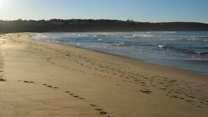 A beach with footprints leading to the water, a clear sky, and a distant shoreline.