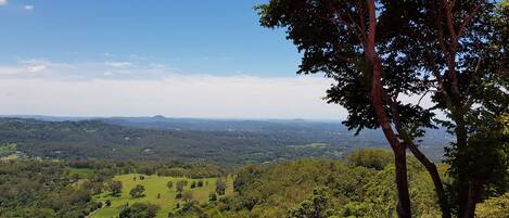 A panoramic view of a lush landscape with rolling hills, dense forests, and distant mountains under a clear blue sky.
