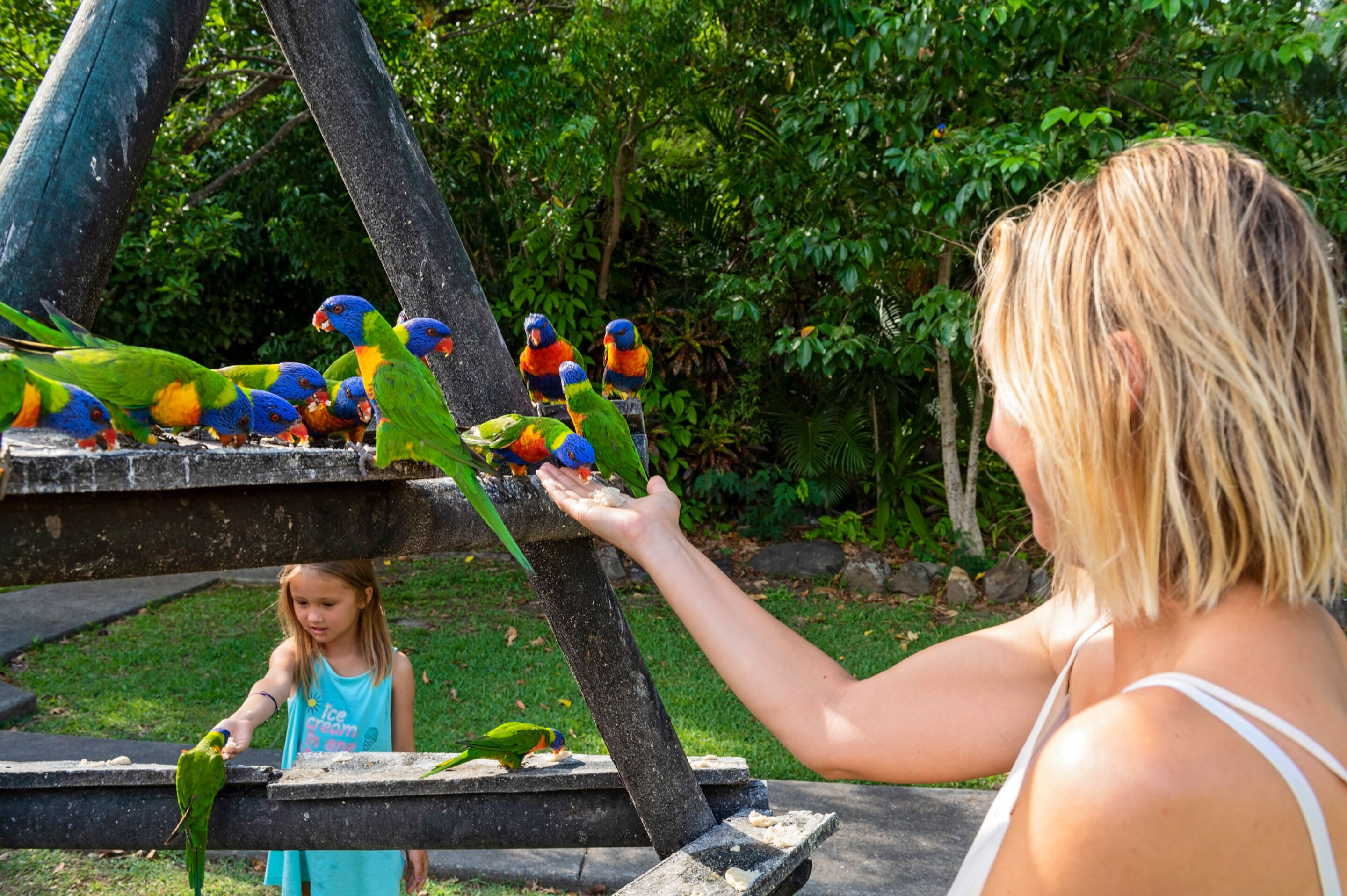 Une femme nourrit des perroquets aux couleurs vives à l’aide d’une mangeoire à oiseaux.