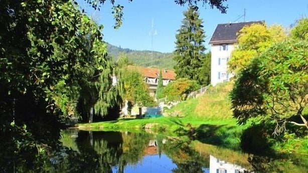 Cena serena à beira do rio, com reflexo límpido na água, rodeada por vegetação exuberante e alguns edifícios ao fundo.