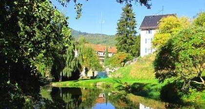 Appartements Maison Bellevue