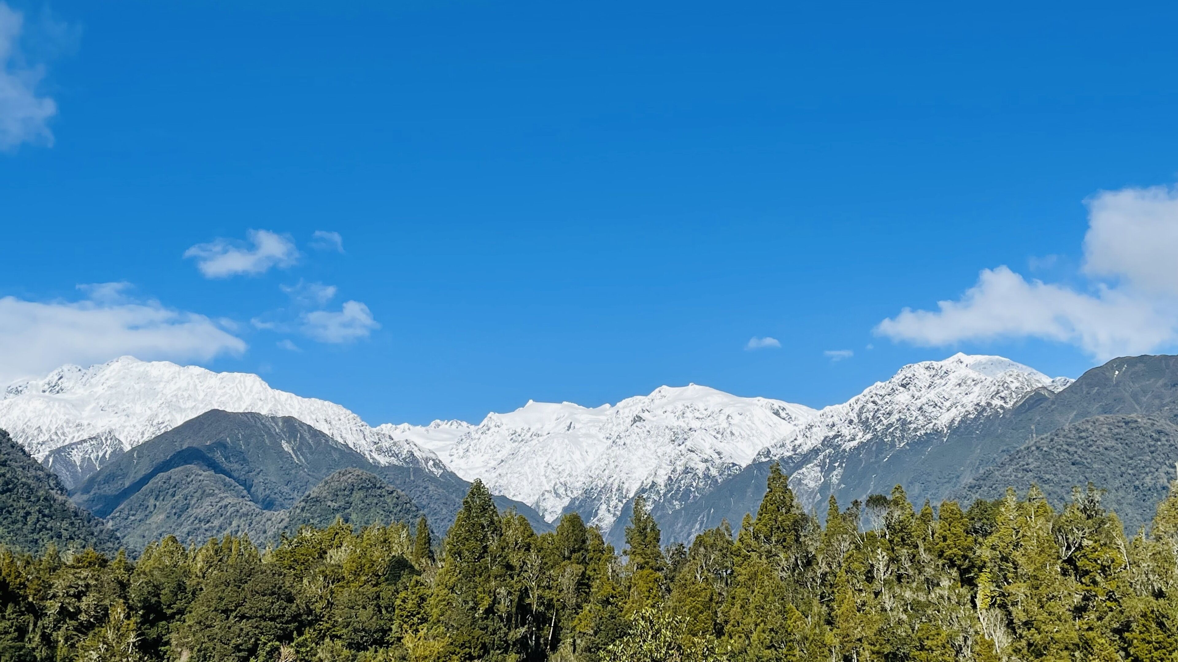 A mountain range with snow-capped peaks and a forested foreground.
