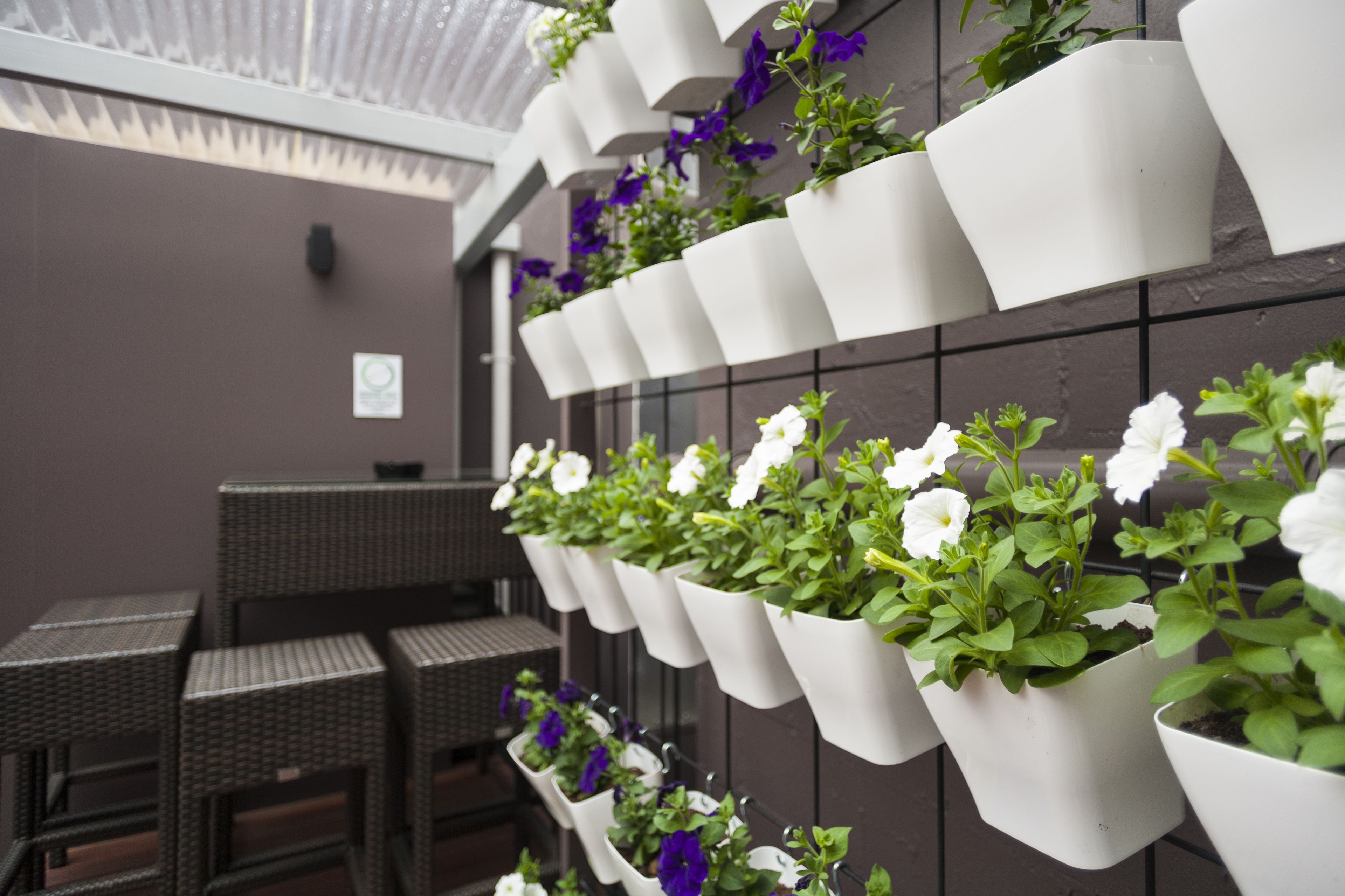 A wall with multiple white hanging planters containing various flowers.