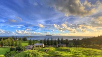 A coastal landscape with houses, a grassy hill, and a view of the sea.