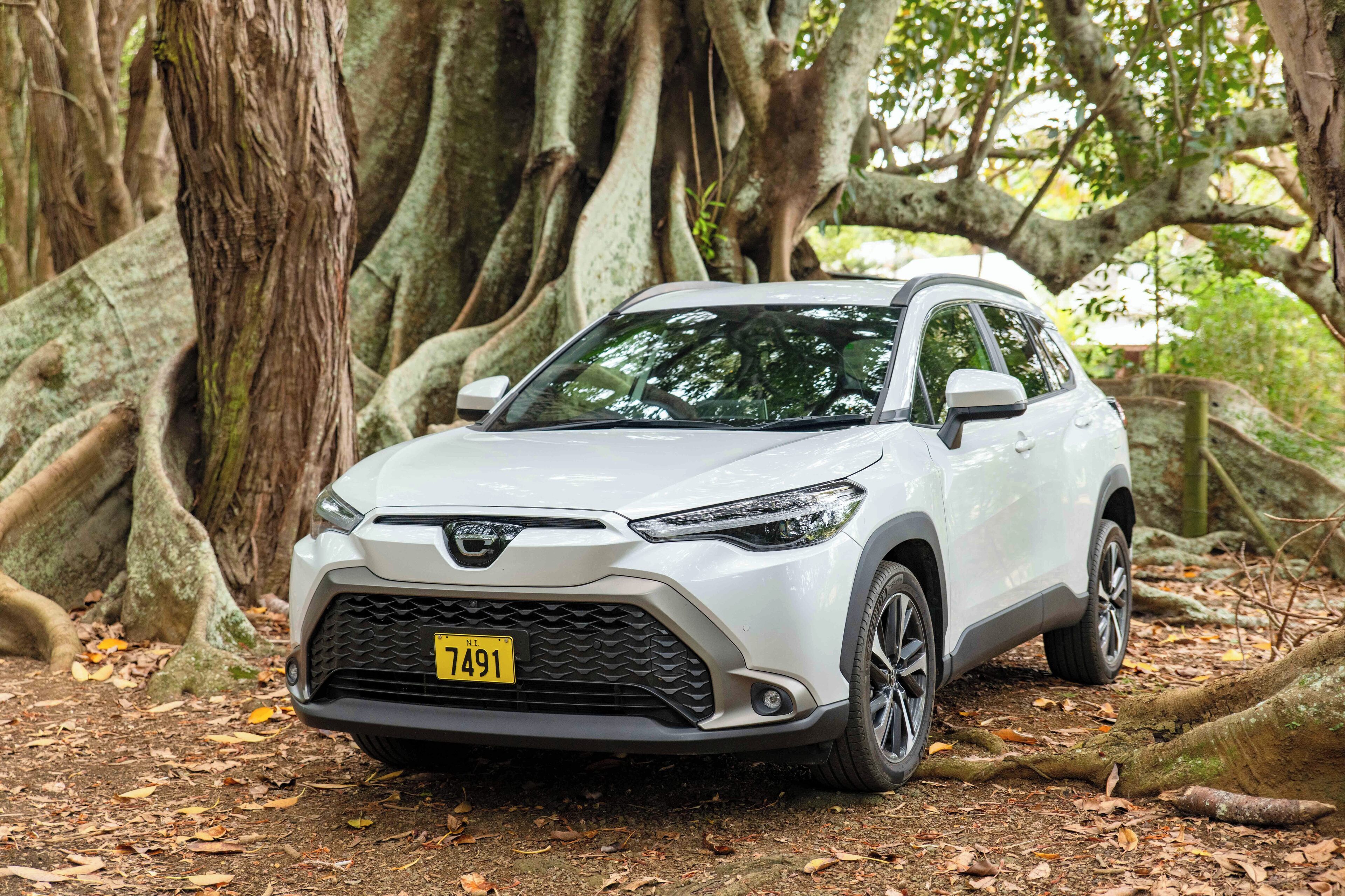 Perhemökki, 2 makuuhuonetta | Terassi/patio