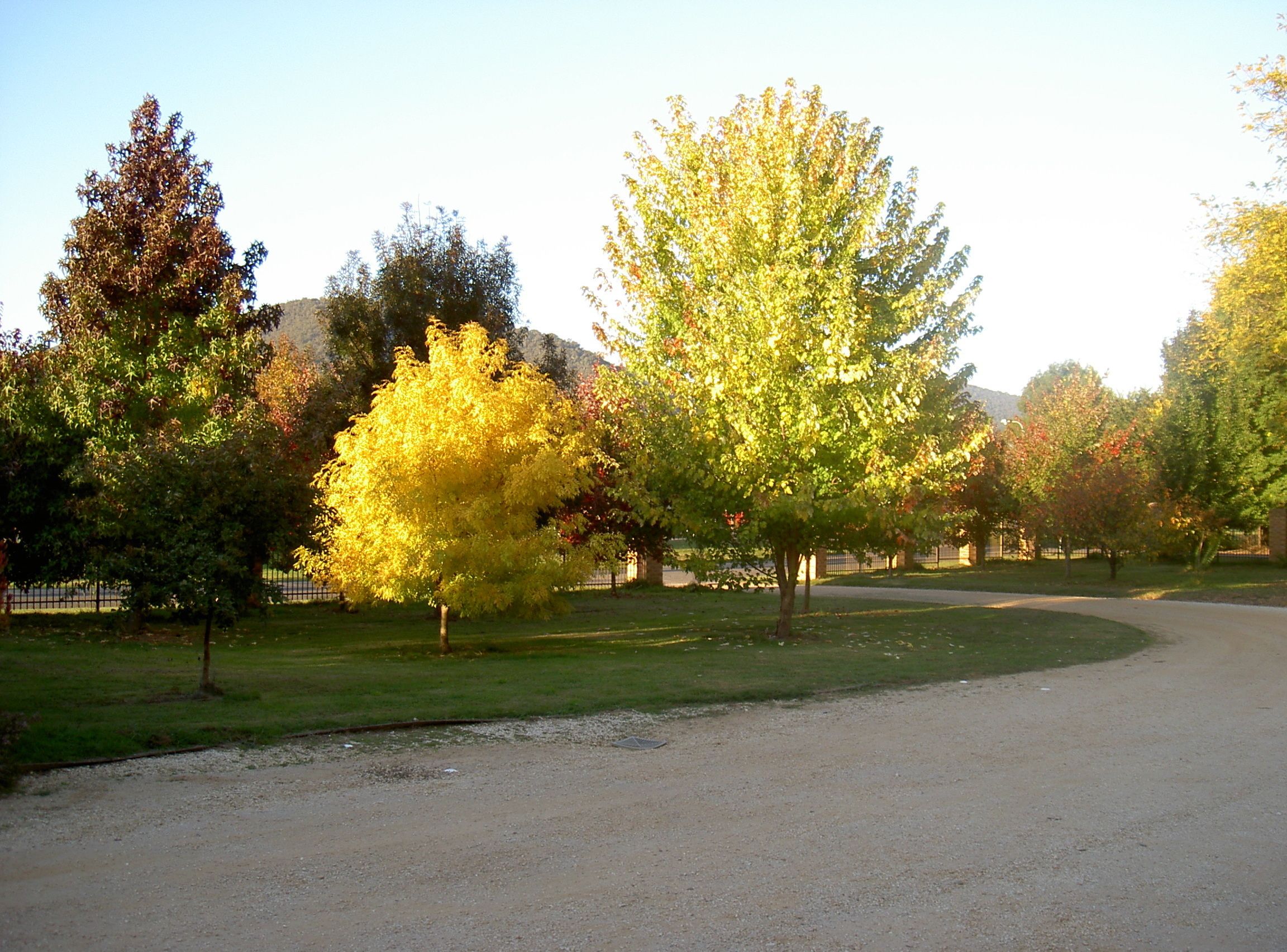 A paved driveway curving through a park with trees displaying autumn foliage.