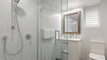 Shower, free toiletries, hair dryer, towels
