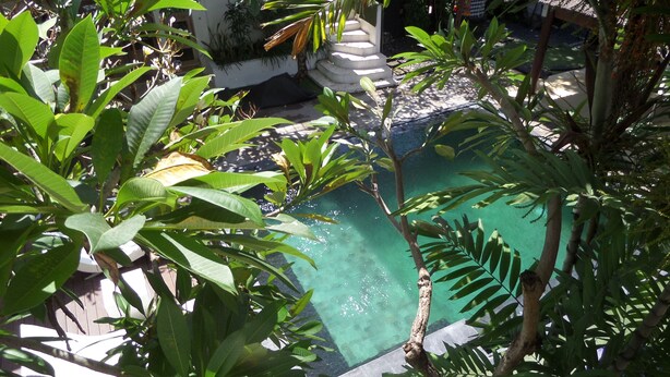 Vista despejada de una piscina rodeada de abundante vegetación y una estructura de piedra.