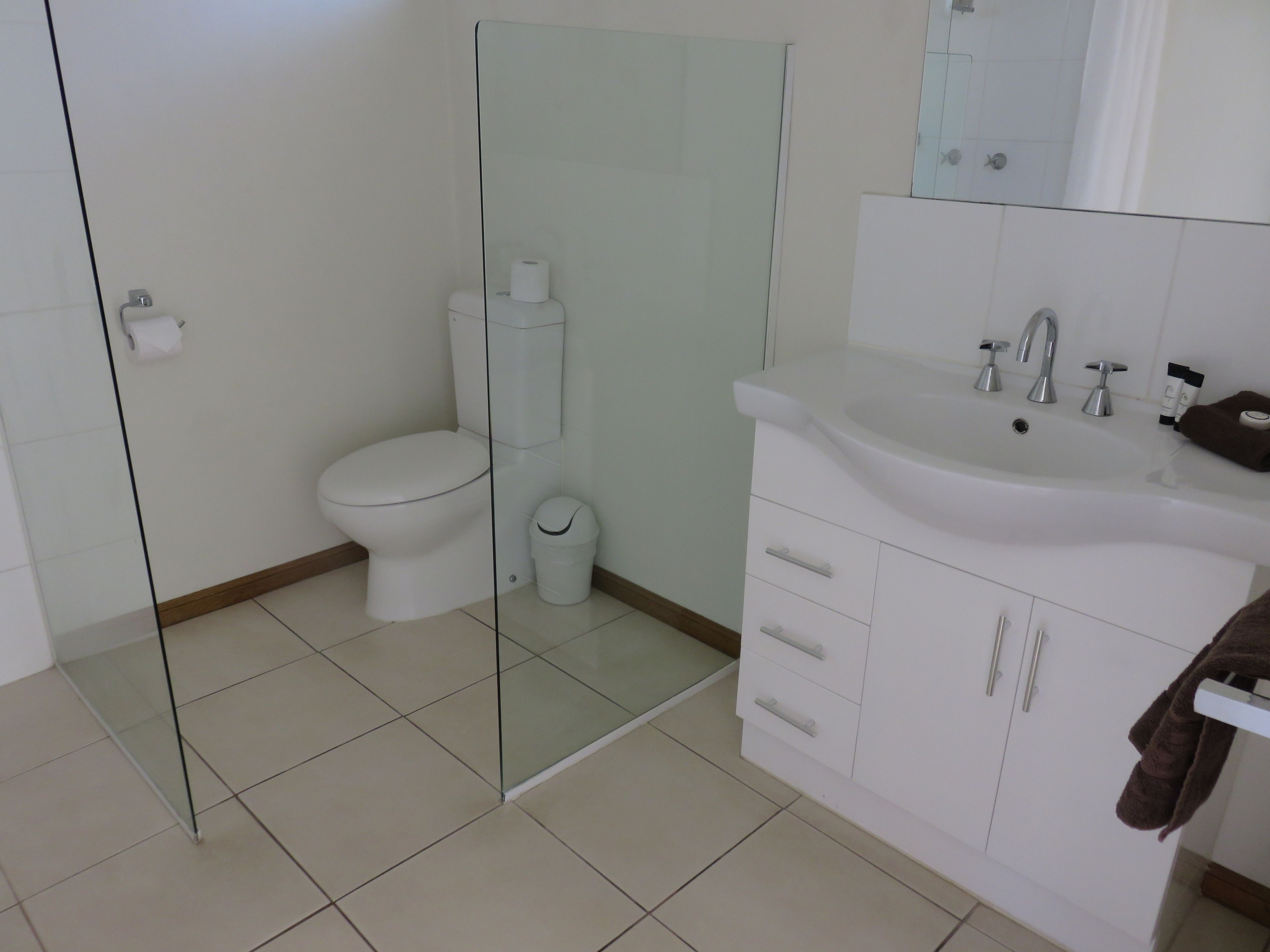 A modern bathroom with a glass shower enclosure, a toilet, a sink with a mirror, and a trash bin.