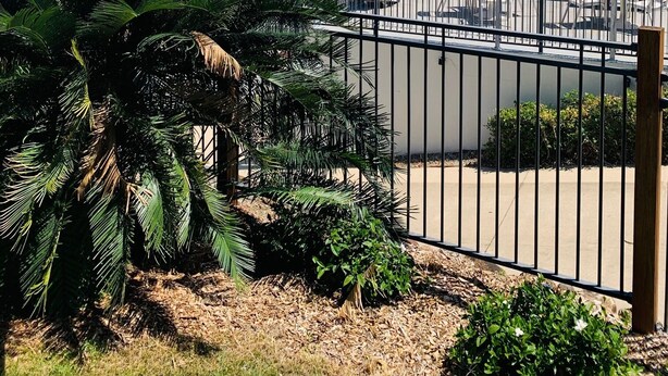 A fenced outdoor area with palm trees and a view of buildings in the background. - Airlie Beach Apartments (Airlie Beach)