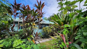 A tropical garden with various plants and a blue building in the background.