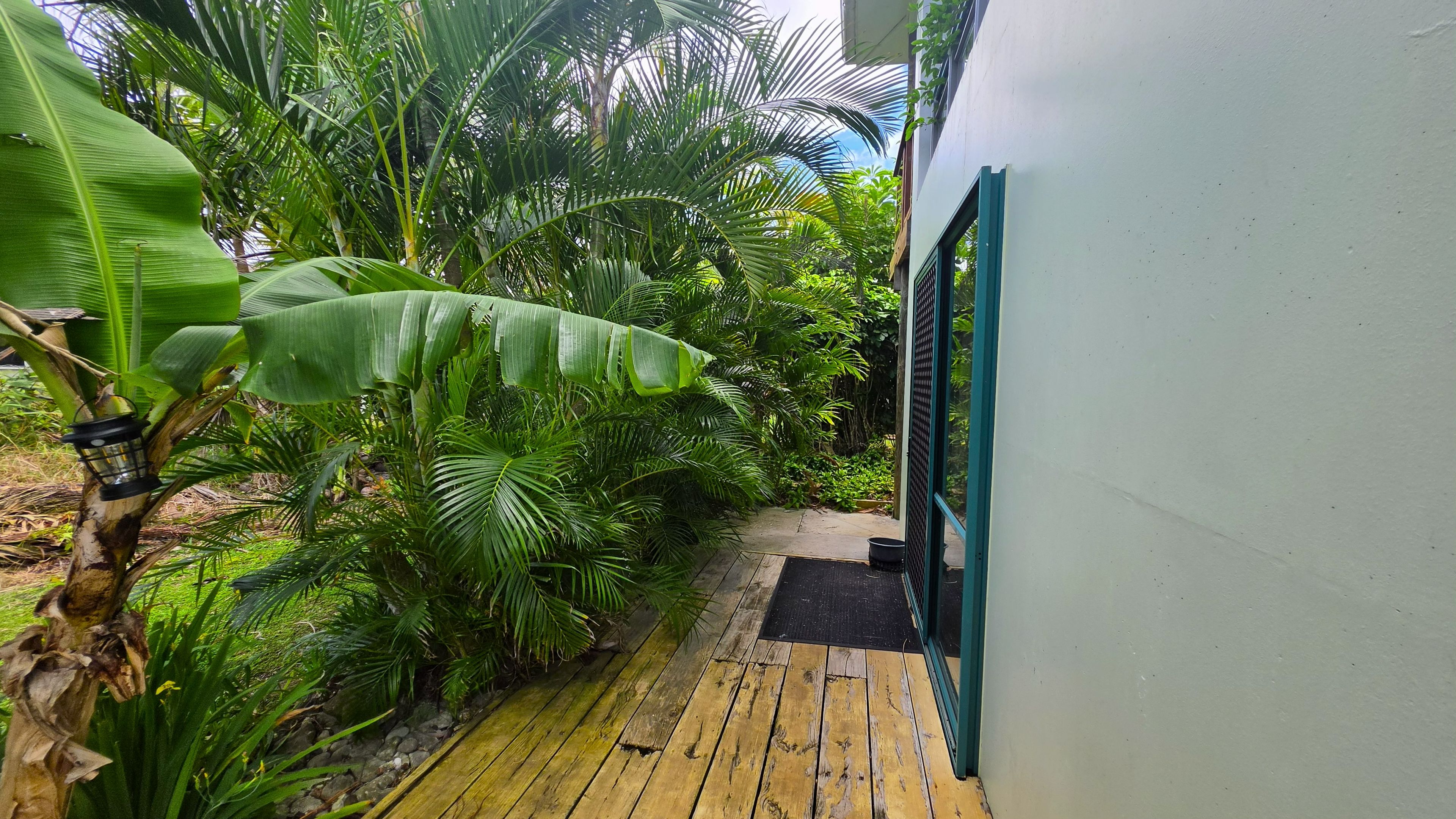 A wooden pathway leading to a door with a green frame, surrounded by lush tropical foliage.