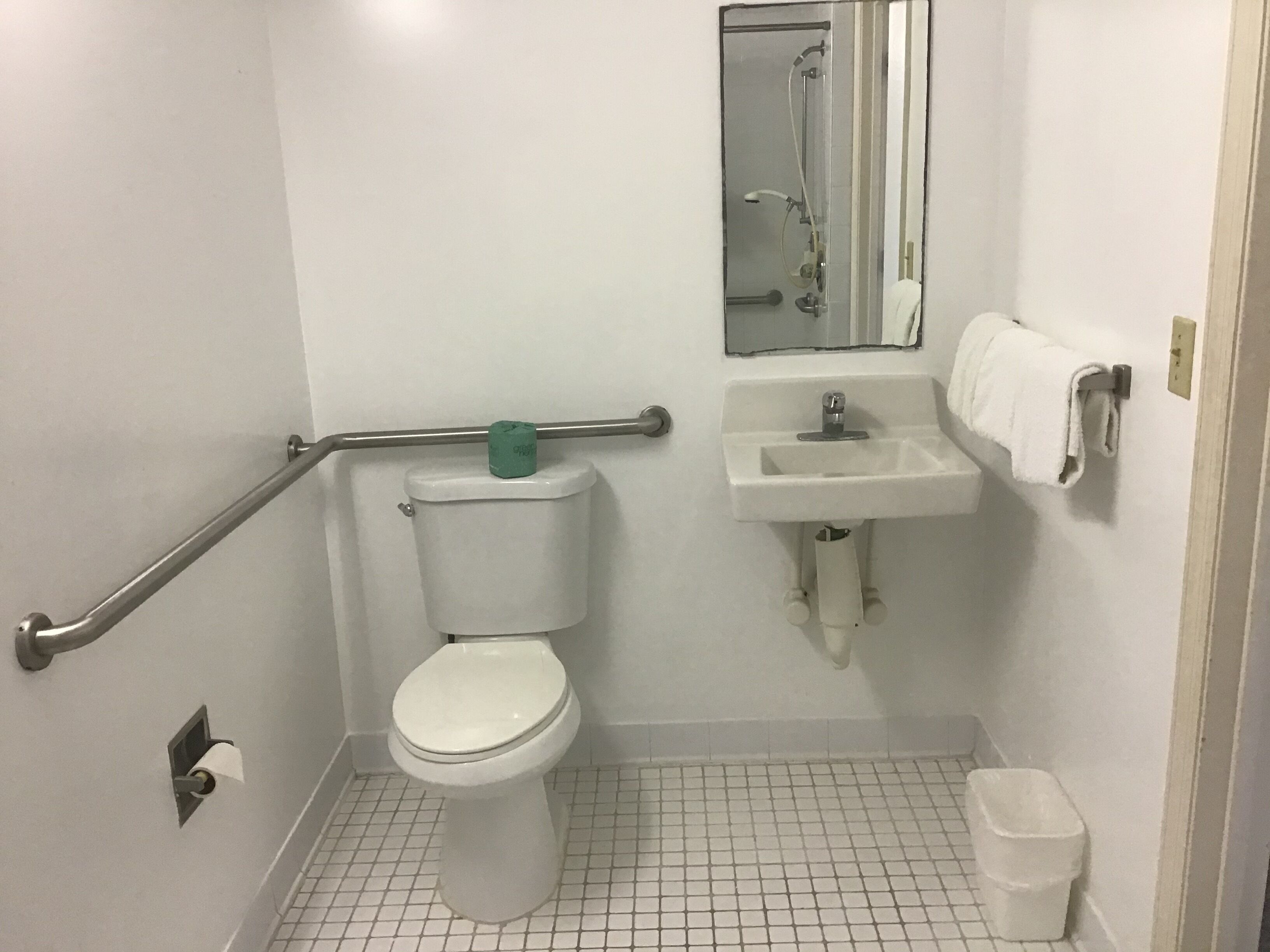 A small, white bathroom with a toilet, a sink, and a handrail.