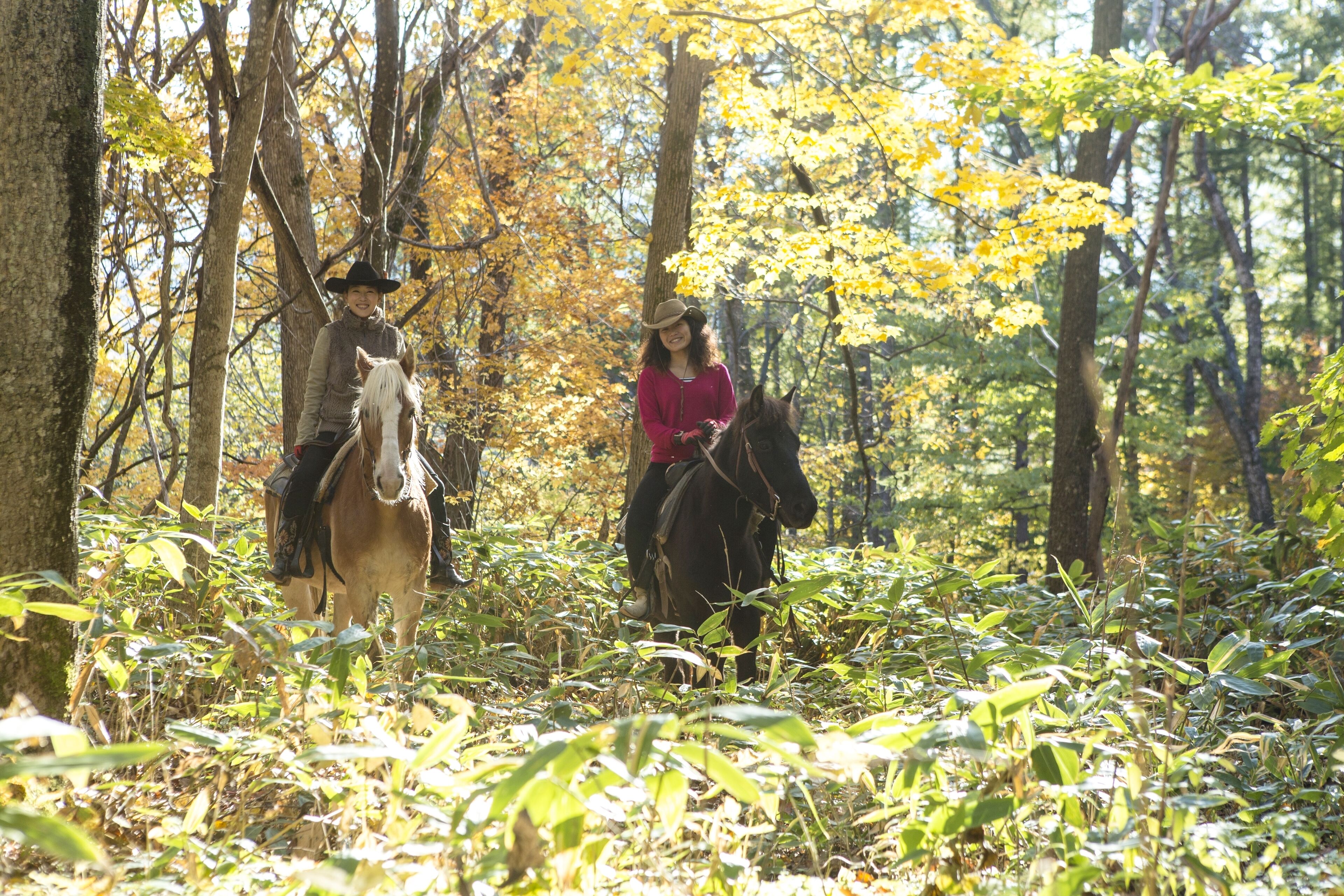 Two people riding horses in a forested area with dense foliage and trees.
