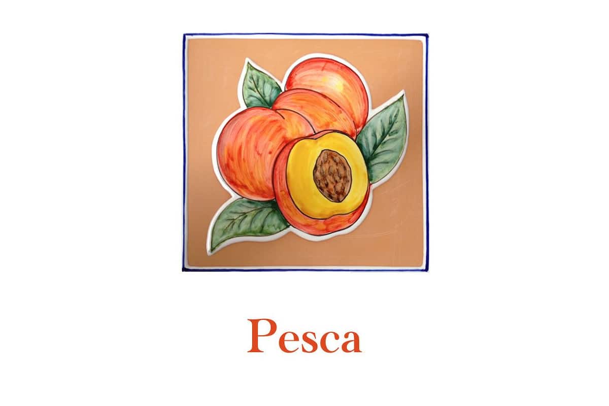 Une illustration d’une pêche avec le mot « Pesca » écrit en dessous.