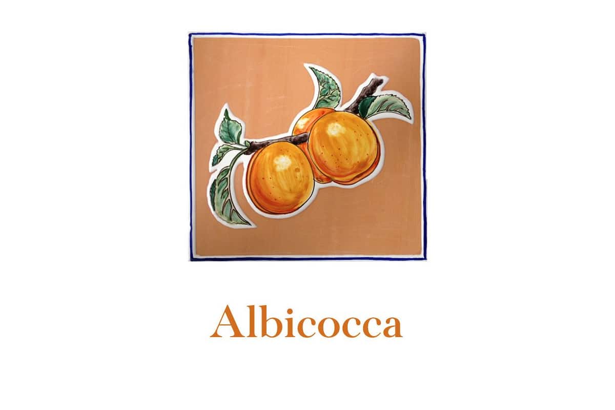 Un panneau décoratif représentant une peinture de deux abricots sur une branche, avec la mention « Albicocca ».