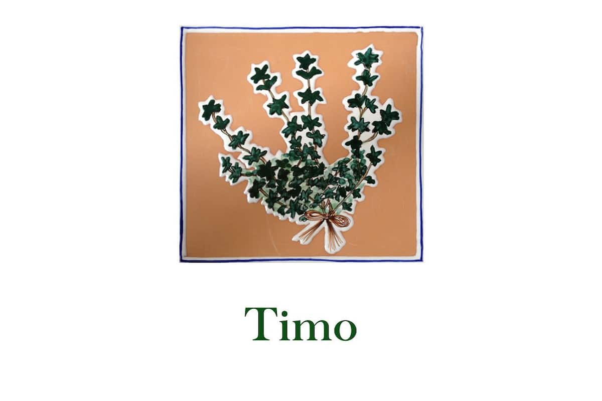 Une plante d’ornement décorée d’un ruban.