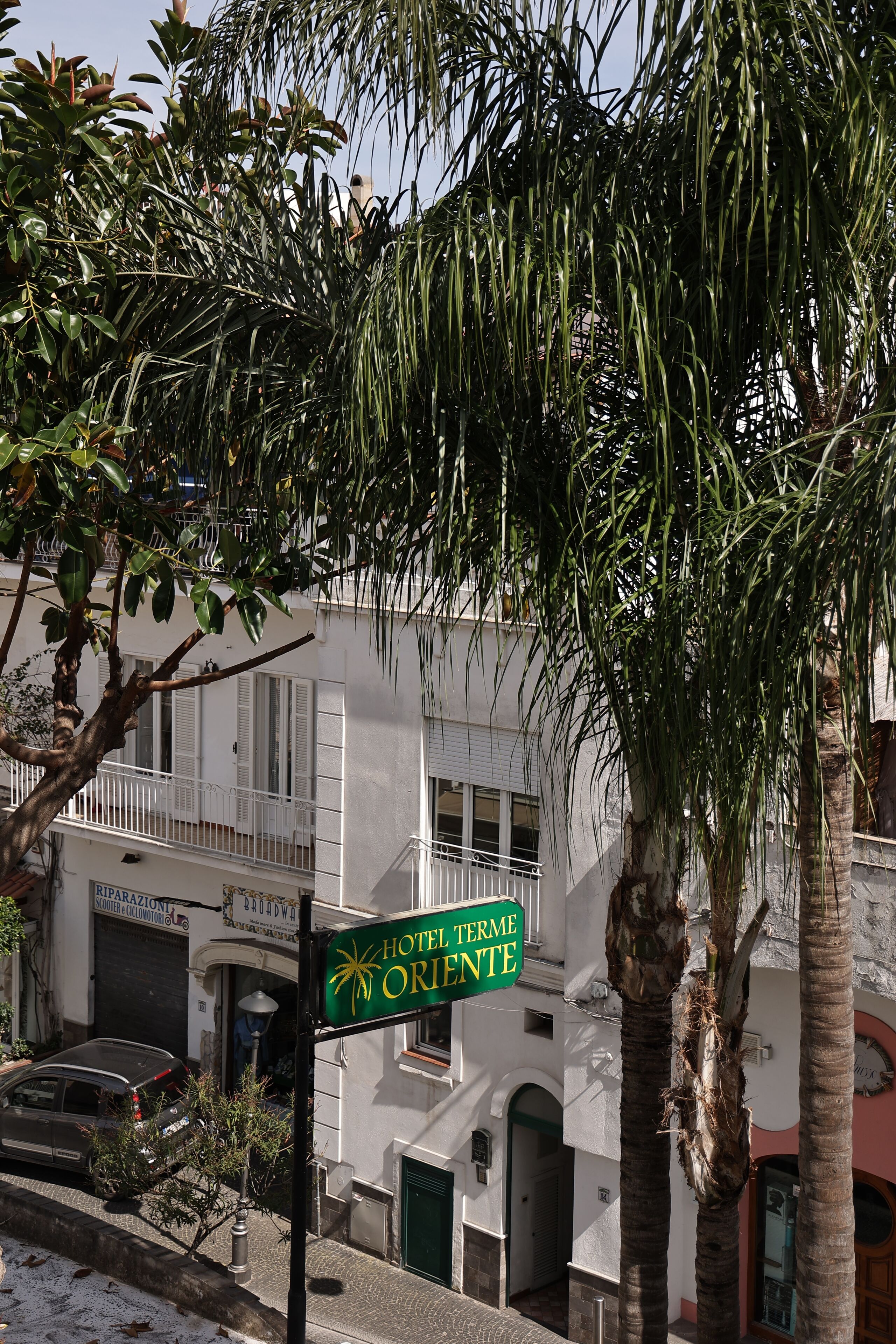 A hotel sign with a palm tree and a building in the background.