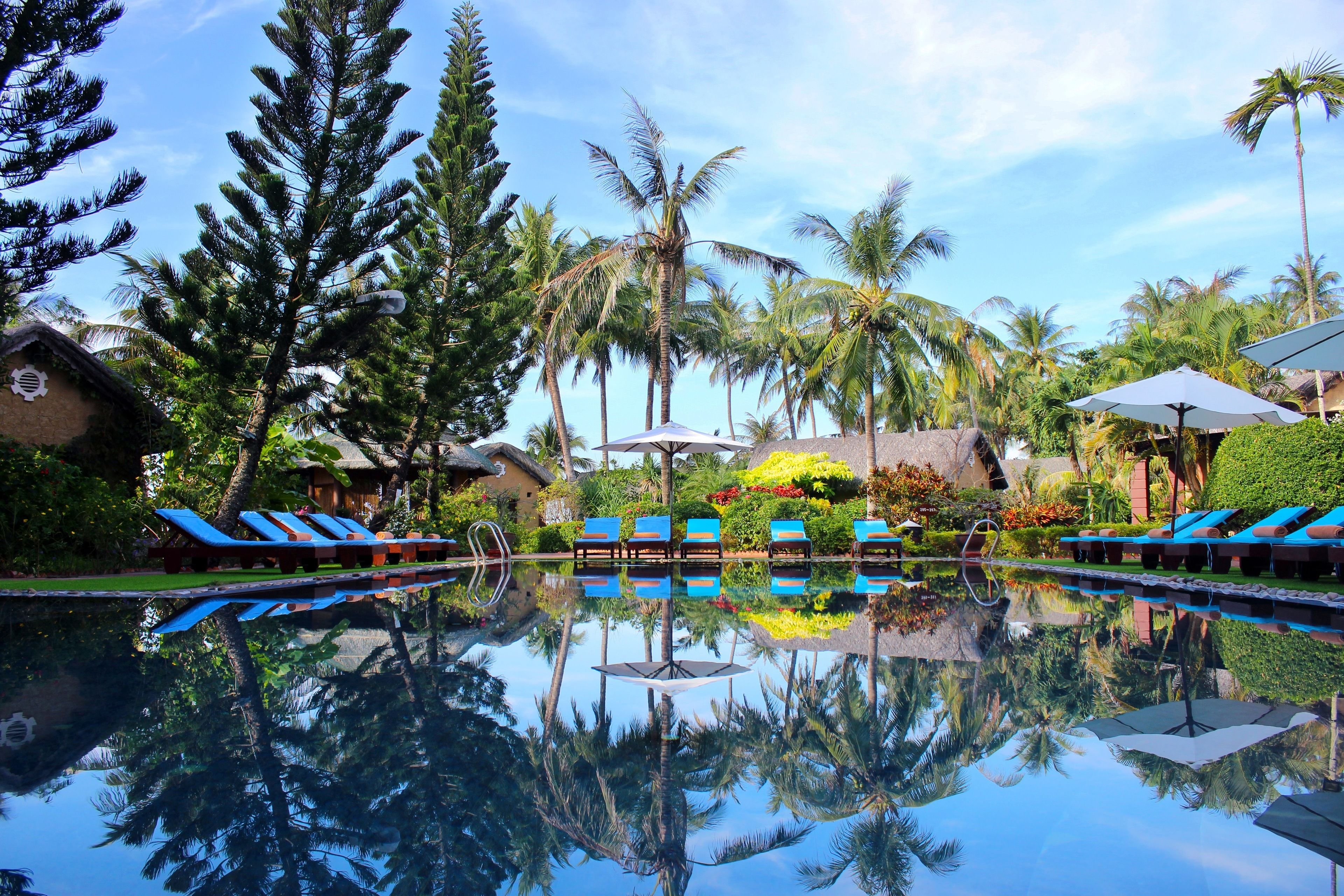 outdoor pool, pool loungers