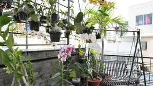 Un balcon agrémenté de plantes en pot et d’un banc en métal.