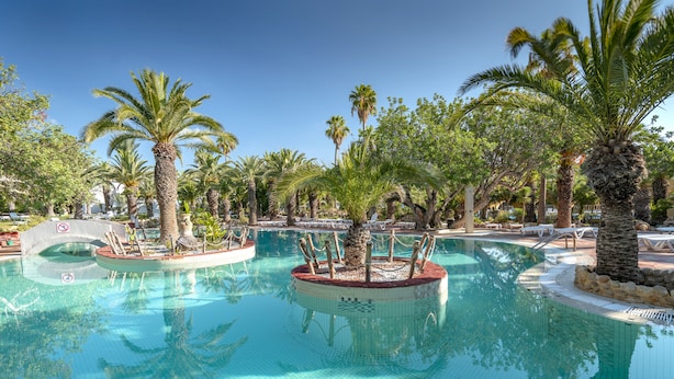 Un espace piscine agrémenté de palmiers et de chaises longues.