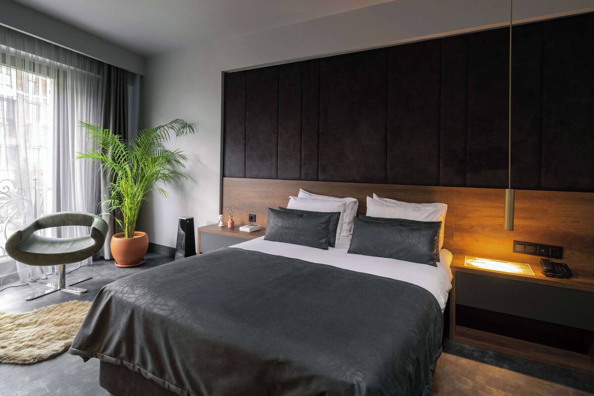 Een moderne hotelkamer met een groot bed, een nachtkastje met een lamp, een stoel en een potplant.